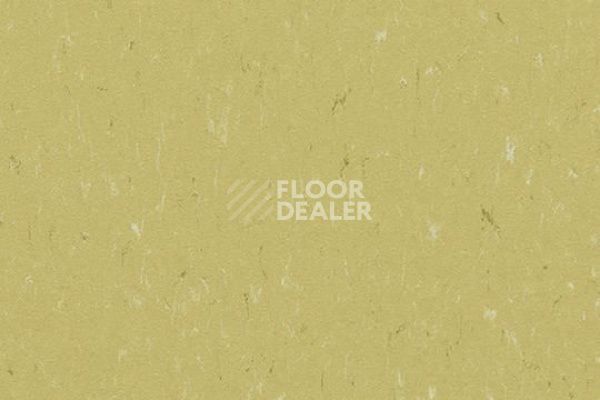 Линолеум Marmoleum Decibel on Order 363435 meadow фото 1 | FLOORDEALER